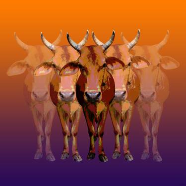 Brahman Cow Pop Art Giclee thumb