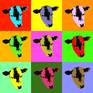 Collection Cats Dogs Cows - Pop Art