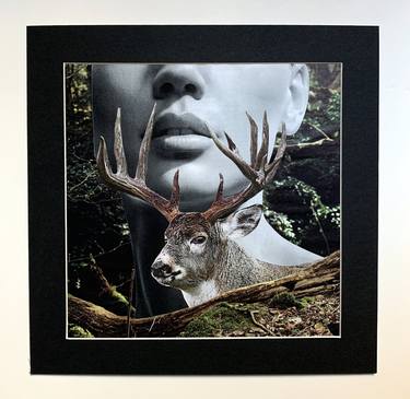 Original Surrealism Animal Collage by Mikhail Siskoff