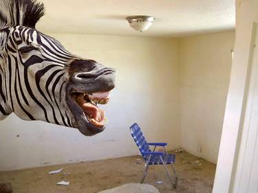 Abandoned Room With Zebra thumb