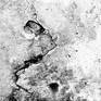 view additional image 1