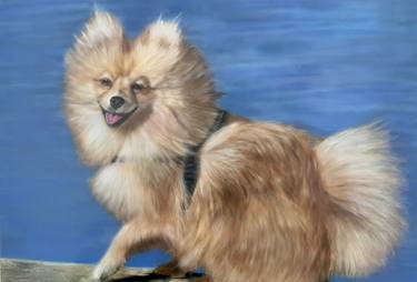 Original Realism Animal Painting by Maria Arias