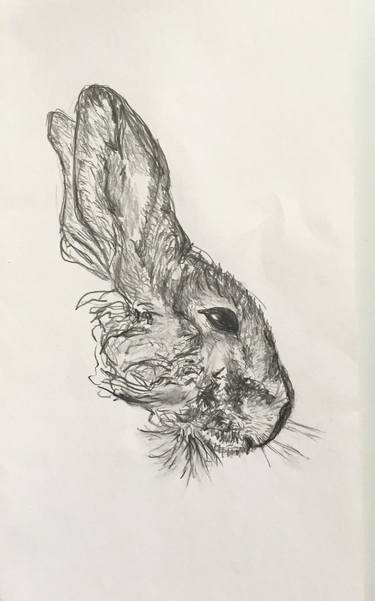 Original Figurative Animal Drawings by Chrissy Baucom