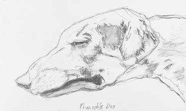 Original Fine Art Dogs Drawings by Chrissy Baucom