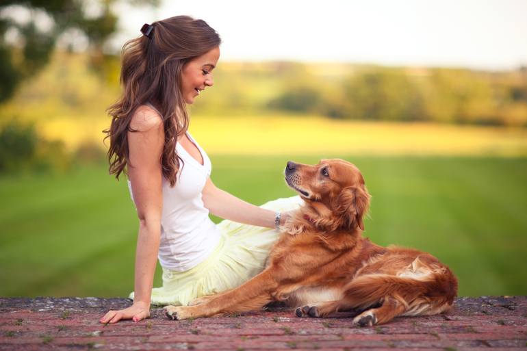 golden retriever and girl