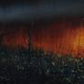 view additional image 6