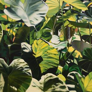 Colocasia no.1