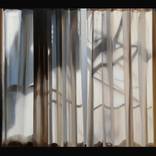 Curtain by Naomi Mendel