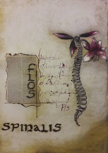 Flos spinalis - Limited Edition 2 of 10 thumb