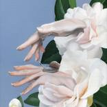 Camellia flower by Chiara Cappelletti