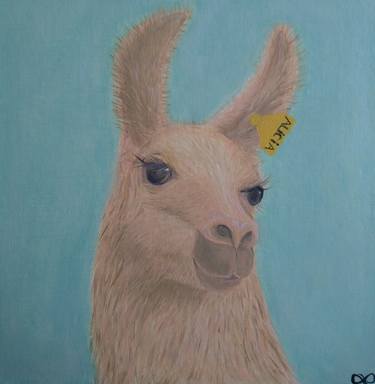 Llama Therapy thumb