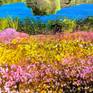 I wanted to capture the peace and contentment of laying among the magic of Mother Nature.
Just beyond the golden hay, lays a land where fairies hide and play. If you believe your heart before the eyes, the magic of Nature reveals Pixie Paradise.