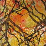 Sensitive Nature from the Cosmic Fabric by NATALIA CAJIAO