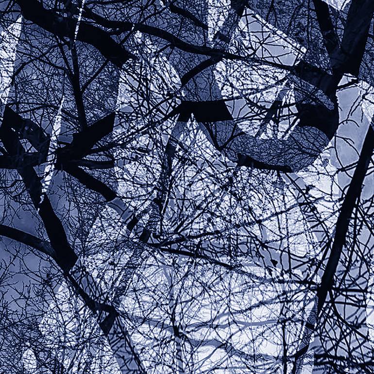 Original Abstract Nature Photography by Drew Reese