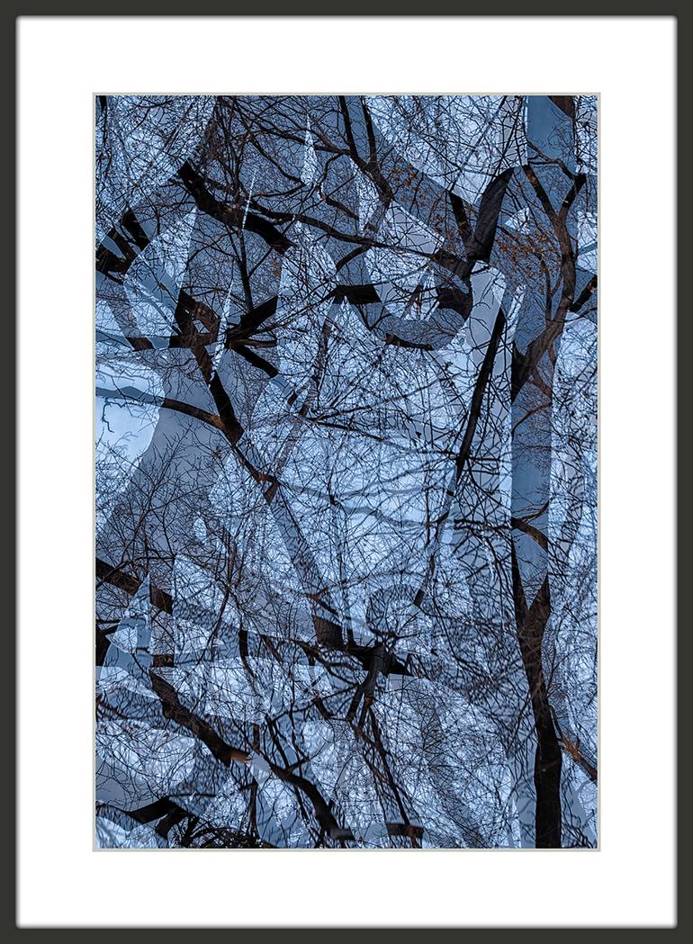 Original Abstract Nature Photography by Drew Reese