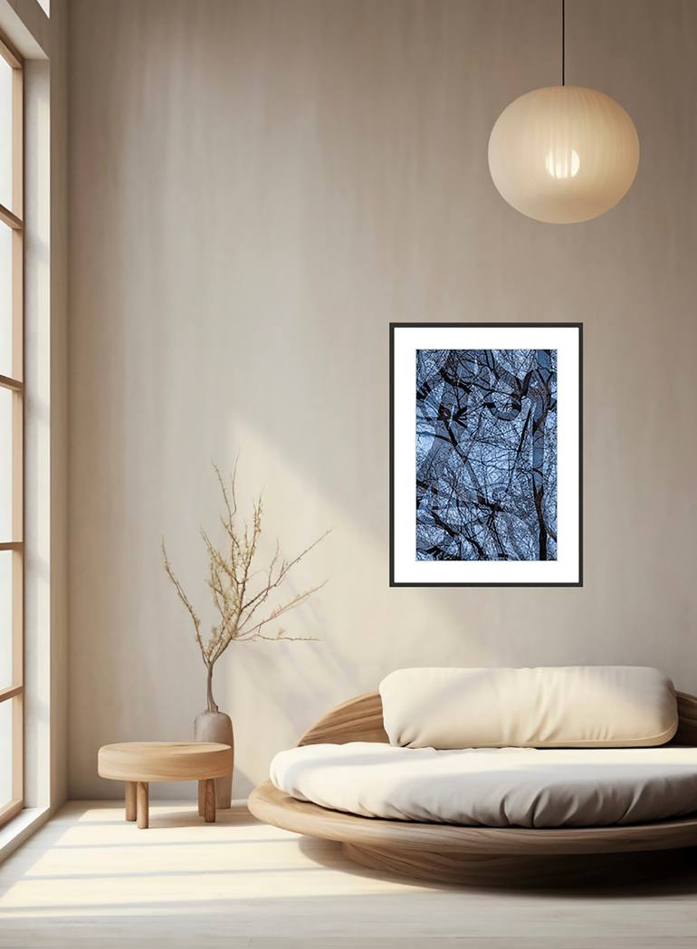 Original Abstract Nature Photography by Drew Reese