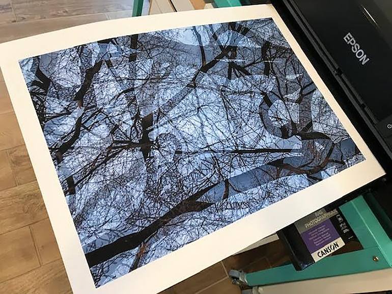 Original Abstract Nature Photography by Drew Reese