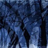 Trees-Big Strokes by Drew Reese