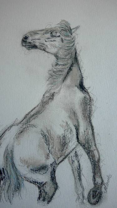 Original Horse Drawing by Melissa Roberts