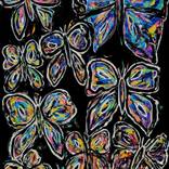 Enigma - Black Orchid by Sona Mirzaei