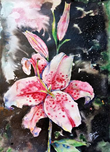 Original Modern Botanic Paintings by Anda Bieza