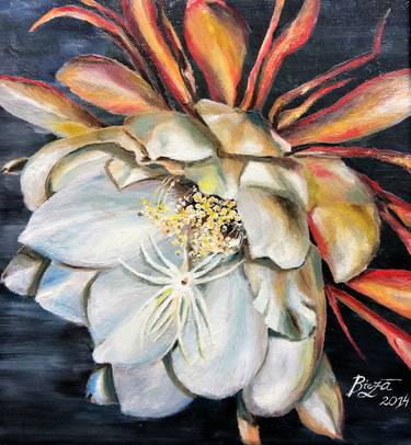 Original Fine Art Nature Paintings by Anda Bieza