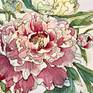 peonies