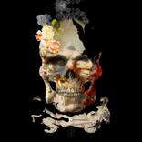 Malleus Maleficarum I - Limited Edition of 50 by Witold Fiedziuk