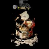 Malleusmaleficarum II - Limited Edition of 50 by Witold Fiedziuk