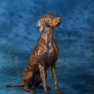 Collection  Hungarian Vizsla statue