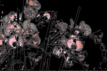 Original Abstract Floral Photography by Ken Lerner