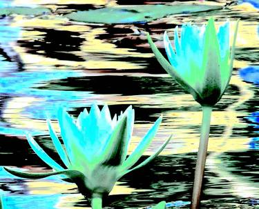 Central Park 5 - Bethesda Fountain Water Lilies 3a3 thumb