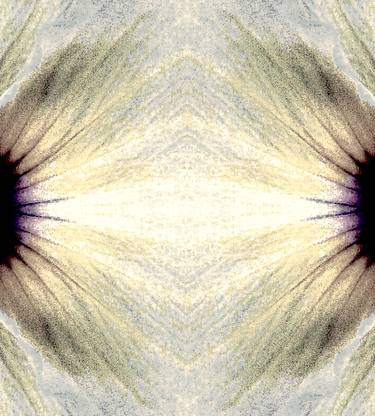 Original Abstract Floral Photography by Ken Lerner