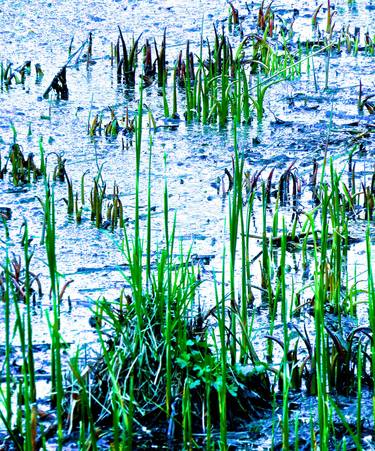 Original Abstract Expressionism Abstract Photography by Ken Lerner