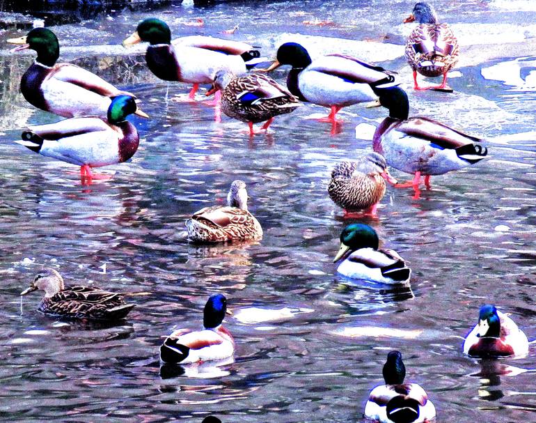 View in a Room Artwork