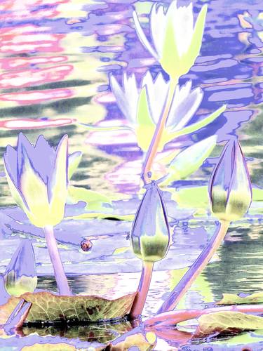 Central Park 5 - Bethesda Fountain Water Lilies 6g5 - Limited Edition 1 of 3 thumb