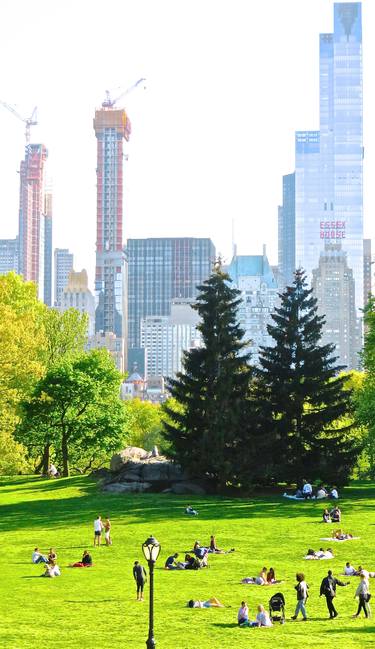 Central Park 6 - Two Famous Pines With Cityscape Behind 1a thumb