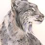 Closer view of the lynx drawing