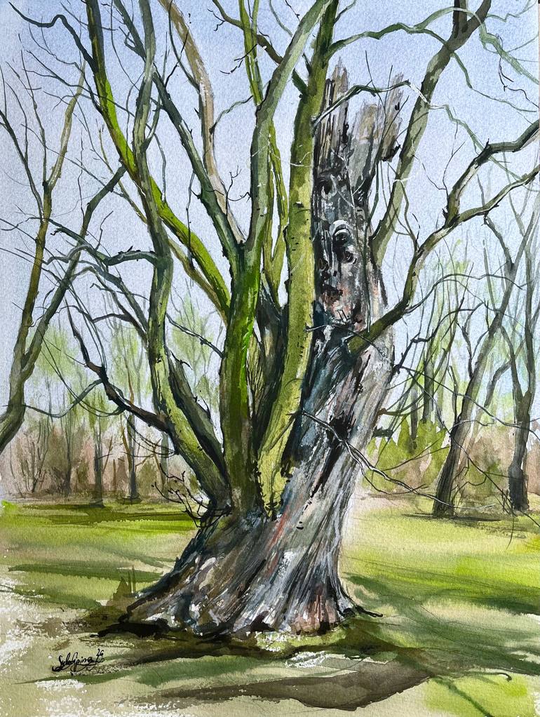 Original Landscape Painting by Sylwia Lipina | Contemporary Art on Paper | The Maple, Guardian of Swierklaniec