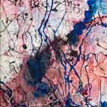 Lingual by Rosemary Lawrey