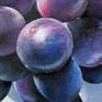 Black grapes