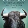 Cover of the book "The earth beneath our feet" Dutch edition.