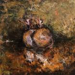 Collection Fruits and still life