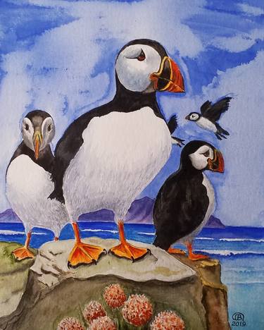Puffin family thumb