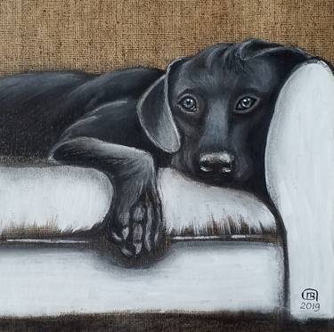 Black dog on a white sofa thumb