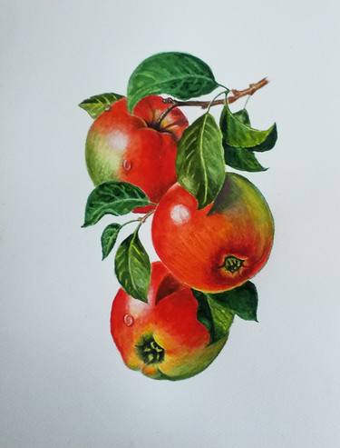 Print of Fine Art Botanic Paintings by Valentina Procenko