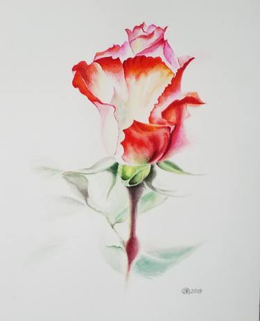 Print of Fine Art Floral Paintings by Valentina Procenko