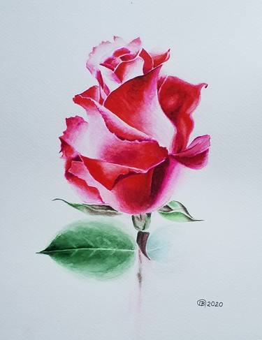 Print of Botanic Paintings by Valentina Procenko