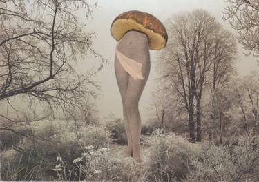 Original Surrealism Botanic Collage by Avoir l' Herbot