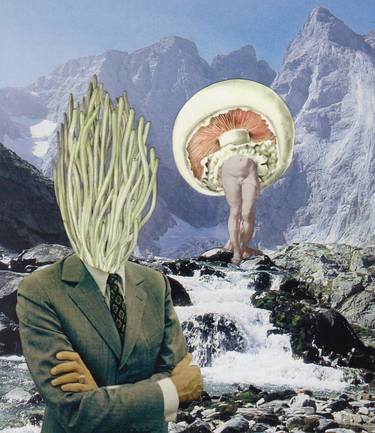 Original Pop Art Botanic Collage by Avoir l' Herbot